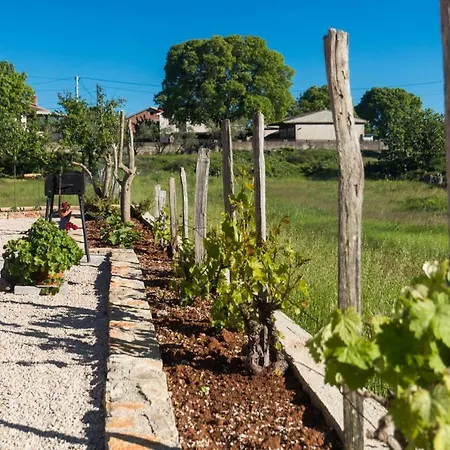 Doris, Nenadici Апартаменты Nenadici (Krk)