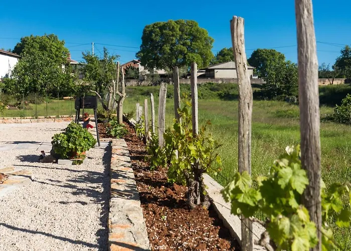 Doris, Nenadici 公寓 Nenadici (Krk)